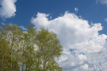 Spring landscape with clouds