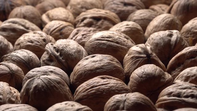 Walnuts in nutshell. Rotation. Closeup. Selective focus. Healthy food concept.