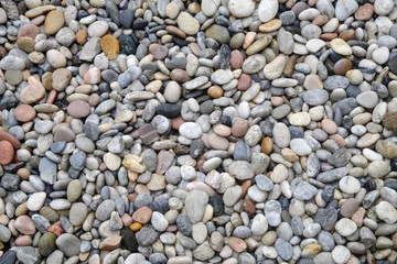 Sea stones
