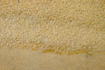 sand beach wet