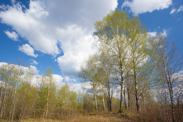 Spring landscape with clouds