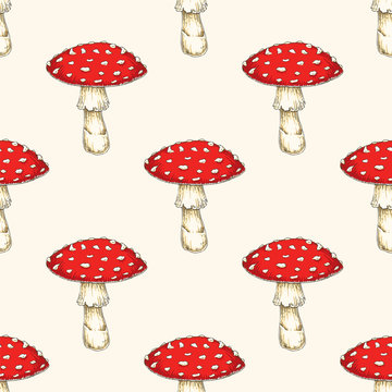 Seamless Pattern with Fly Agaric Mushroom