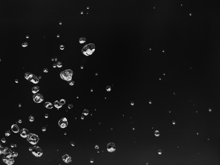 Water splash on a black background