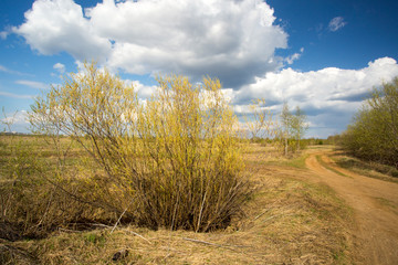 Spring landscape with clouds