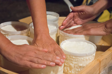 Hands making fresh cheese in traditional artisanal process