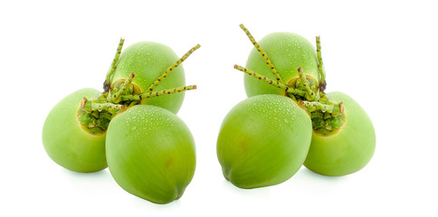 water drop green coconut isolated on white background