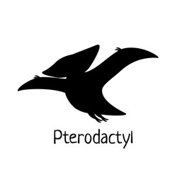 Vector baby dino silhouette - pterodactylus - for logo, poster, banner. For historic event, dinosaur party invitation, fashion textile design. Isolated on white