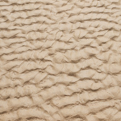 sand wet wave texture