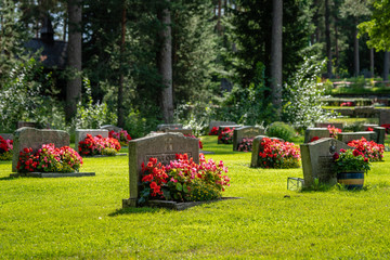 Rows of grave stones with bright  red and pink flowers