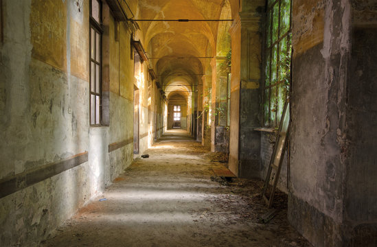 asylum 