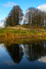 Fototapeta na wymiar Autumn landscape with colorful trees, yellow grass and river. Reflection in river
