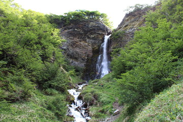 Waterfall  in  the  Patagonian  forest