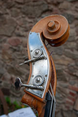 Geiger beim Musizieren