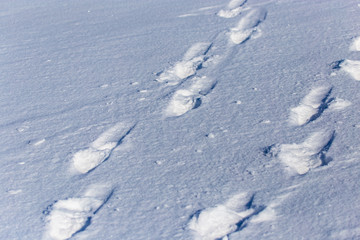 Fototapeta na wymiar Human footprints on white snow as a background