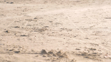 Sandstorm close-up on the sand beach with wind.