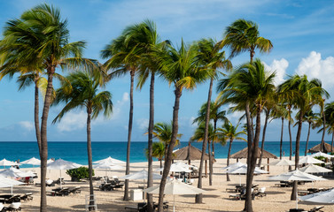 Obraz na płótnie Canvas Caribbean Beachfront with Sun Umbrellas, Gazebos and Swaying Palm Trees