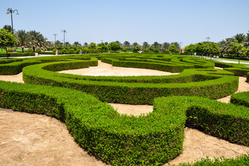 Hedge trimming design in the park 