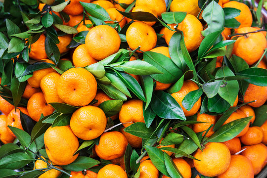 ripe tangerines at market on street