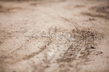 A dirt path with wheel marks in the summer close-up. View from ground level. Selective focus.