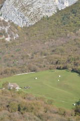 Fototapeta premium Montagna