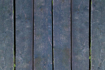 set of dark boards of the panel wooden part of the weathered surface of a fence covered with moss