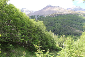 Landscape  national  Park