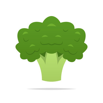 Broccoli vector isolated illustration