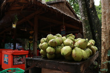 coconuts on the market