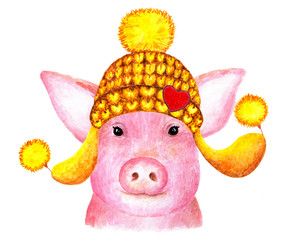 Portrait of pig. Watercolor illustration.
Pig smiles at the camera. A pig in a winter hat enjoys life. Illustration for design, decor.