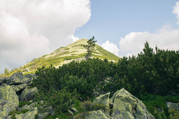 Mountain Dovbushanka in the Carpathians, near Yaremche