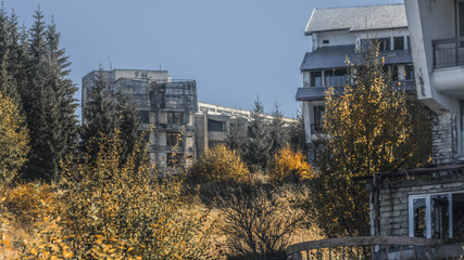 Abandoned buildings in the forest