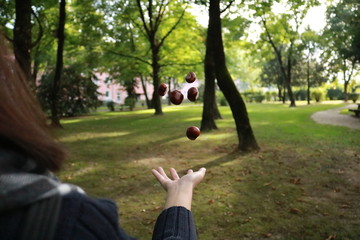 flying chestnuts in park