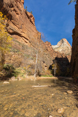 The Narrows Zion National Park Utah in Autumn