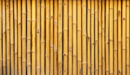 Bamboo wall texture for background
