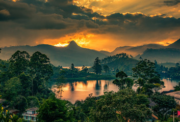 panorama of the tea plantations at sunset - Sri Pada peak in the background - obrazy, fototapety, plakaty