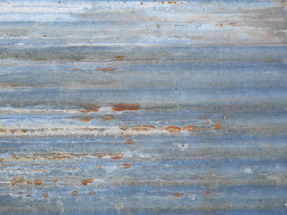 Fototapeta premium gray metal wall background,rusty zinc roof texture