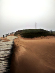 The hidden guardian.