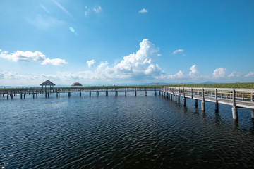 wooden bridge on a lake