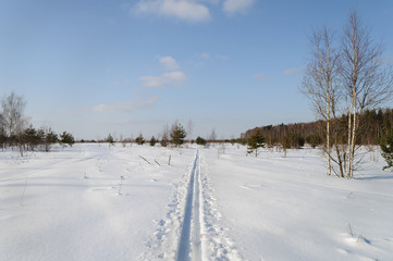 Ski track in snowy field near forest edge