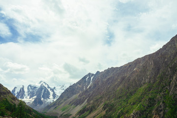 View on wonderful glacier behind giant mountains. Snowy mountain range. Huge amazing rocky mountain with snow on top. Coniferous trees. Atmospheric landscape of majestic nature of highlands.