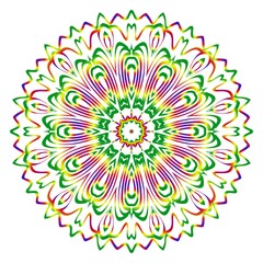 Mandala Style Vector Shapes. Decorative Cicle ornament. Floral design.