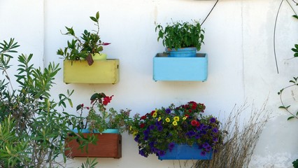 Fototapeta na wymiar casa circondata da piante fiorite