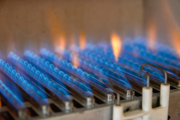 Gas burning in a heating appliance. A stainless steel burner heats a copper heat exchanger.