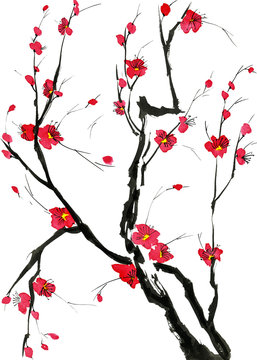 A branch of a blossoming tree. Pink and red stylized flowers of plum mei, wild apricots and sakura . Watercolor and ink illustration in style sumi-e, u-sin. Oriental traditional painting.