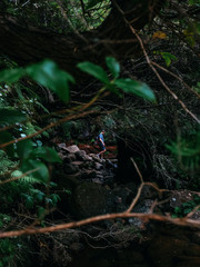 Man explores with backpack dense tropical jungle and rainforest