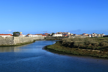 Fototapeta na wymiar river with blue water and city in the background