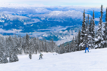 in Whistler & Venice