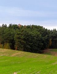 Fototapeta premium Green field and hills. Nature of northern Poland.