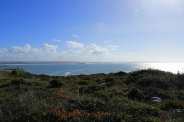 vegetation with sea in background and sky with clouds