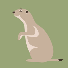  cartoon marmot ,vector illustration ,flat style,